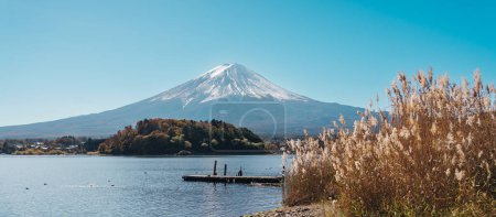 Mont Fuji avec prairie au lac Kawaguchi. Mont Fujisan à Oishi Park, Yamanashi, Japon. Repère pour l'attraction touristique. Japon Voyage, Destination, Vacances et Mont Fuji concept de jour