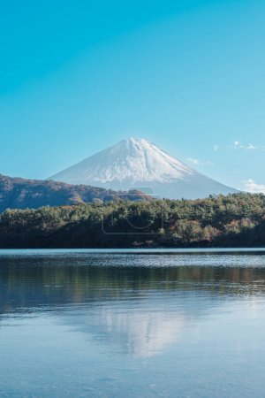 Berg Fuji am Saiko-See in der Nähe von Kawaguchiko, einem der Fuji-Fünf-Seen in Yamanashi, Japan. Wahrzeichen für Touristenattraktion. Japan Reisen, Reiseziel, Urlaub und Mount Fuji Day Konzept