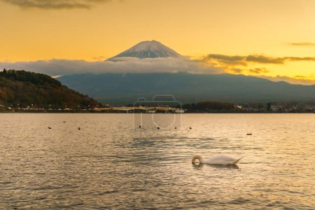 Mount Fuji mit Schwan und Ente am Kawaguchi-See bei Sonnenuntergang. Fujisan in Yamanashi, Japan. Wahrzeichen für Touristenattraktion. Japan Reisen, Reiseziel, Urlaub und Mount Fuji Day Konzept