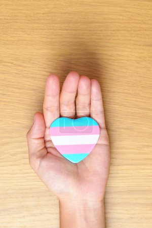 Foto de Día Transgénero y mes del orgullo LGBT, concepto LGBTQ + o LGBTQIA +. mano sosteniendo azul, rosa y blanco forma de corazón para Lesbianas, Gay, Bisexuales, Transgénero, Queer y la comunidad Pansexual - Imagen libre de derechos