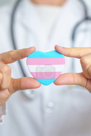 Transgender Day and LGBT pride month,  LGBTQ+ or LGBTQIA+ concept. Doctor holding blue, pink and white heart shape for Lesbian, Gay, Bisexual, Transgender, Queer and Pansexual community