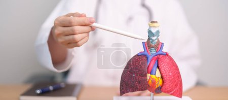 Médico señalando la tráquea de la anatomía del sistema respiratorio para las enfermedades. Cáncer de pulmón, asma, pulmonar obstructiva crónica o EPOC, bronquitis, enfisema, fibrosis quística, bronquiectasias y neumonía