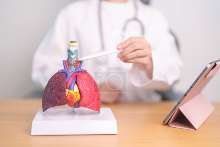 Photo for Doctor pointing Thyroid of Respiratory system anatomy for Diseases. Lung Cancer, Asthma, Chronic Obstructive Pulmonary or COPD, Bronchitis, Emphysema, Cystic Fibrosis, Bronchiectasis and Pneumonia - Royalty Free Image