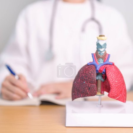 Arzt mit Raucher und normaler Lungenanatomie für Krankheiten. Lungenkrebs, Asthma, chronisch obstruktive Lungen- oder COPD, Bronchitis, Emphysem, Mukoviszidose, Bronchiektasen, Lungenentzündung und der Welt-Lungentag