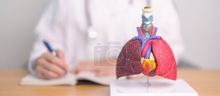 Photo for Doctor with Respiratory system anatomy for Diseases. Lung Cancer, Asthma, Chronic Obstructive Pulmonary or COPD, Bronchitis, Emphysema, Cystic Fibrosis, Bronchiectasis, Pneumonia and Pleural Effusion - Royalty Free Image