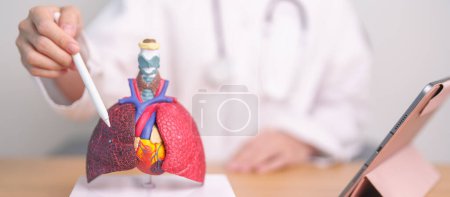 Foto de Doctor point Smoker Anatomía pulmonar para la enfermedad. Cáncer de pulmón, asma, pulmonar obstructiva crónica o EPOC, bronquitis, enfisema, fibrosis quística, bronquiectasias, neumonía y septiembre Día de los pulmones - Imagen libre de derechos