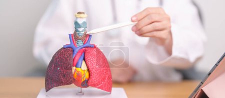 Médecin pointant la thyroïde de l'anatomie du système respiratoire pour les maladies. Cancer du poumon, asthme, bronchopneumopathie chronique obstructive, bronchite, emphysème, fibrose kystique, bronchiectasie et pneumonie