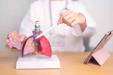 Arzt mit Raucher und normaler Lungenanatomie für Krankheiten. Lungenkrebs, Asthma, chronisch obstruktive Lungen- oder COPD, Bronchitis, Emphysem, Mukoviszidose, Bronchiektasen, Lungenentzündung und der Welt-Lungentag