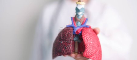 Doctor with Smoker and normal Lung anatomy for Disease. Lung Cancer, Asthma, Chronic Obstructive Pulmonary or COPD, Bronchitis, Emphysema, Cystic Fibrosis, Bronchiectasis, Pneumonia and world Lung day