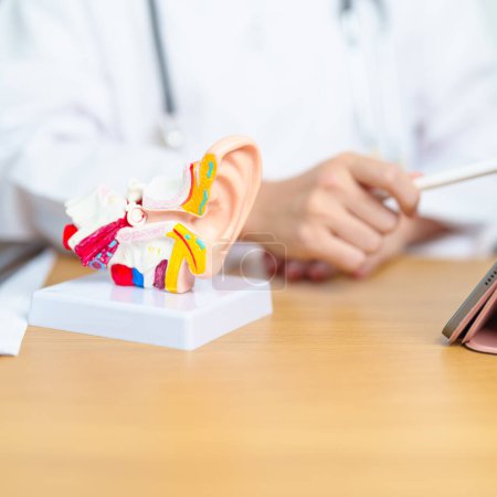 Arzt mit menschlichem Ohr-Anatomie-Modell mit Tablette. Ohrerkrankungen, Atresie, Otitis Media, Trommelfell, Meniere-Syndrom, HNO-Arzt, Hörverlust im Alter, Schwannom und Gesundheit