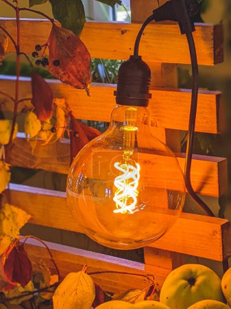 Photo for Incandescent light bulb hanging In a garden. Autumn mood - Royalty Free Image