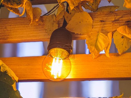 Photo for Incandescent light bulb hanging In a garden. Autumn mood - Royalty Free Image