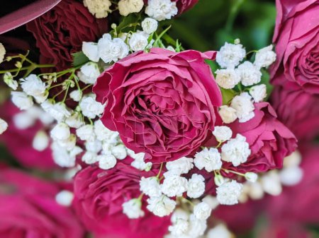 Bouquet von frischen roten Rosen, Blume hellen Hintergrund. Nahaufnahme