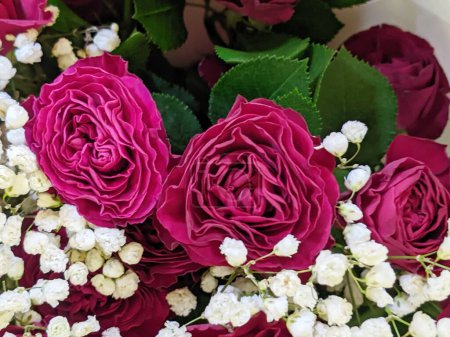 Bouquet von frischen roten Rosen, Blume hellen Hintergrund. Nahaufnahme