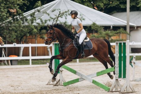 Téléchargez les photos : Horse Jumping, Equestrian Sports, Show Jumping Competition themed photo - en image libre de droit