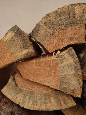 A stack of cut logs with detailed wood grain and texture, suitable for a rustic backdrop.
