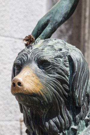 Photo for Buenos Aires, Argentina  jan31, 2024: Detail  of the dog of Liliana on her grave in La Recoleta Cemetery - Royalty Free Image