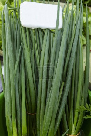 Green onion or scallion for sale at a street market in Sao Paulo, Brazil. fresh chives