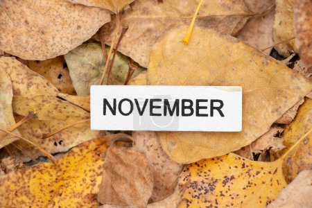 Ein Holzkalender mit Würfeln und dem Namen des Monats November liegt auf gelben Herbstblättern im Wald, Herbst-Tapetenkalender