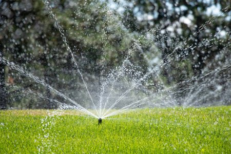 Photo for Watering the lawn in the park in the summer in the sun in Ukraine, green grass - Royalty Free Image