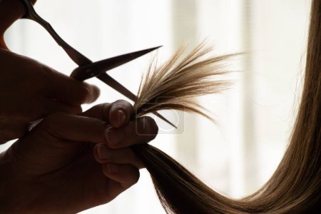 Photo for Female hands cut girls hair with scissors, haircut and hairdressing - Royalty Free Image
