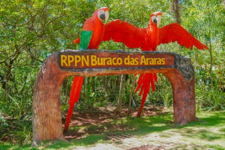 Téléchargez les photos : Entrée du puits Buraco das Araras, dans la ville de Jardim, dans le Pantanal du Mato Grosso do Sul - en image libre de droit