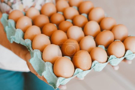 Photo for Close up of a woman holding a tray of free-range red eggs. The egg has nutrients with antioxidant action such as carotenoids, vitamin A and E, folic acid, zinc, magnesium and selenium - Royalty Free Image