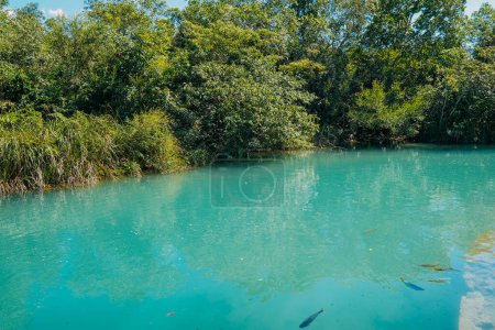 March 21, 2024, Brazil. Partial view of the Formoso River, in the municipal resort, in Bonito, in Mato Grosso do Sul. The city is one of the main ecotourism destinations in Brazil. Its main attractions are the natural landscapes, diving in rivers wit
