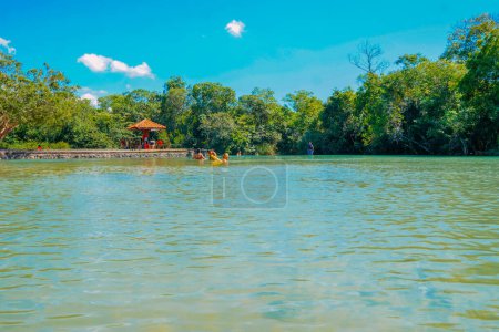 Photo for March 21, 2024, Brazil. Tourists have fun on the Rio Formoso, in the municipal resort, in Bonito, in Mato Grosso do Sul. The city is one of the main ecotourism destinations in Brazil. Its main attractions are the natural landscapes, diving in rivers - Royalty Free Image