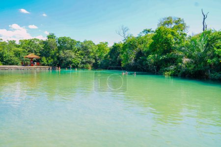 Foto de 21 de marzo de 2024, Brasil. Vista parcial del río Formoso, en la localidad municipal, en Bonito, en Mato Grosso do Sul. La ciudad es uno de los principales destinos de ecoturismo en Brasil. Sus principales atractivos son los paisajes naturales, el buceo en los ríos ingenio - Imagen libre de derechos