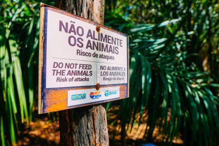 Photo for March 21, 2024, Brazil. Sign says "Do not feed the Animals - Risk of attacks", in the municipal resort, in Bonito, in Mato Grosso do Sul. The city is one of the main ecotourism destinations in Brazil. Its main attractions are the natural landscapes, - Royalty Free Image