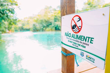 Photo for March 21, 2024, Brazil. Sign says "Do not feed - Risk of fish bites", in the municipal resort, in Bonito, in Mato Grosso do Sul. The city is one of the main ecotourism destinations in Brazil. Its main attractions are the natural landscapes, diving in - Royalty Free Image