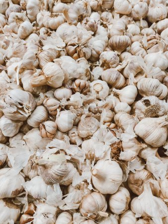 Photo for Top view of garlic exposed in a supermarket. Close up of organic food - Royalty Free Image