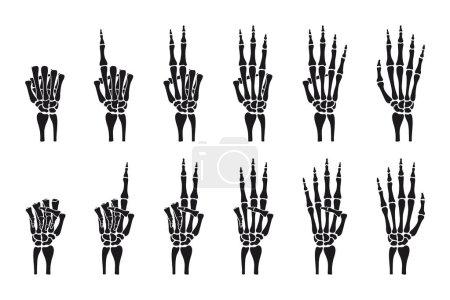 Skeleton bone hand shows a number with its fingers. Collection of hand-drawn skeleton hand signs counting number of fingers. Vector illustration.