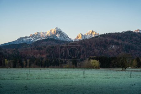 Foto de Morning Field view with Gehrenspitze and Kollenspitze peaks of Alps Tannheim Mountains on background - Schwangau, Bavaria, Germany - Imagen libre de derechos