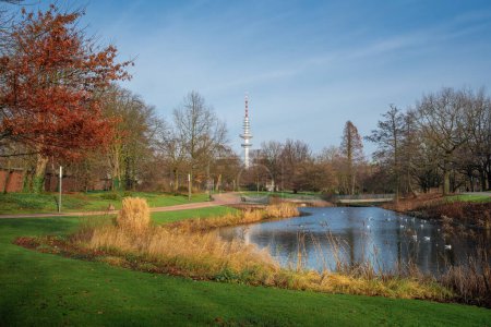 Téléchargez les photos : Parc Planten un Blomen avec vue sur la tour Heinrich Hertz - Hambourg, Allemagne - en image libre de droit