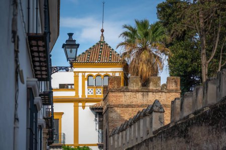 Téléchargez les photos : Plaza de Alfaro avec mur d'Alcazar et balcon Rosina - Séville, Andalousie, Espagne - en image libre de droit