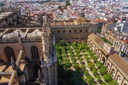 Téléchargez les photos : Vue Aérienne du Patio de los Naranjos (cour d'oranger) dans la Cathédrale de Séville - Séville, Andalousie, Espagne - en image libre de droit