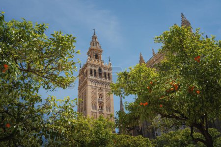 Foto de La Giralda (Torre Catedral de Sevilla) en el Patio de los Naranjos - Sevilla, Andalucía, España - Imagen libre de derechos