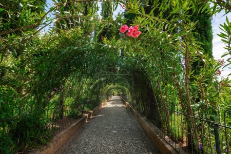 Spaziergang der Oleander (Paseo de las Adelfas) in den Generalife-Gärten der Alhambra - Granada, Andalusien, Spanien