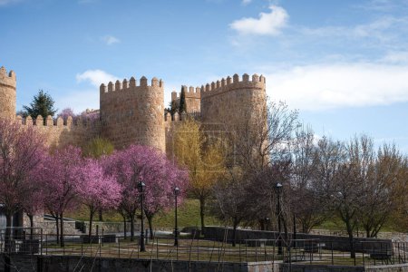 Téléchargez les photos : Tours d'Avila Murs médiévaux au printemps - Avila, Espagne - en image libre de droit