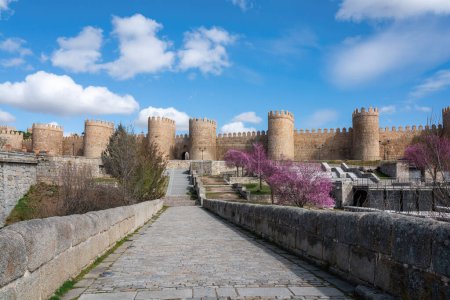 Téléchargez les photos : Murs médiévaux et pont romain d'Avila - Avila, Espagne - en image libre de droit