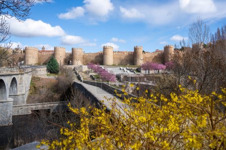 Avila Medieval Walls and Roman Bridge - Avila, Spain