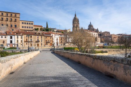 Foto de Puente Romano y Catedral de Salamanca - Salamanca, España - Imagen libre de derechos
