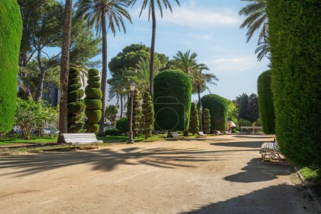 Genoese park (Parque Genoves) - Cadiz, Andalusia, Spain