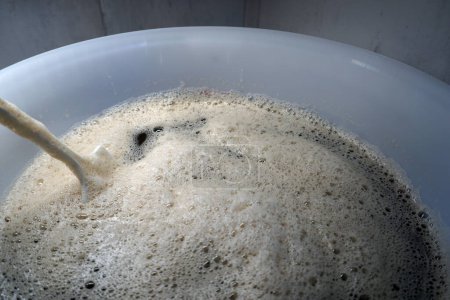 Téléchargez les photos : Levure de bière et agitateur dans fermenteur rond - concept de brassage à domicile - en image libre de droit