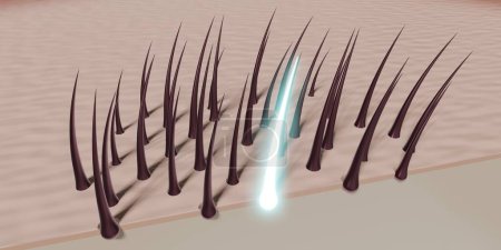 Hair follicles - regeneration concept - 3D illustration