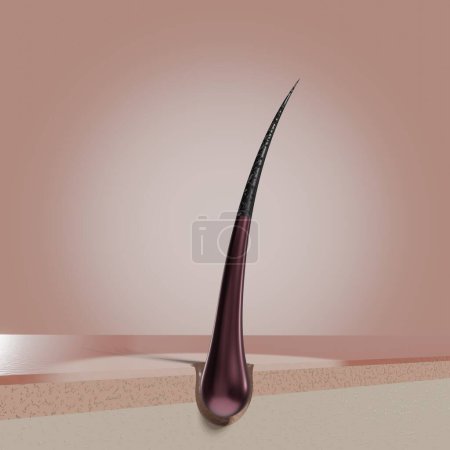 Foto de Folículo de cabello único - Ilustración 3D - Imagen libre de derechos