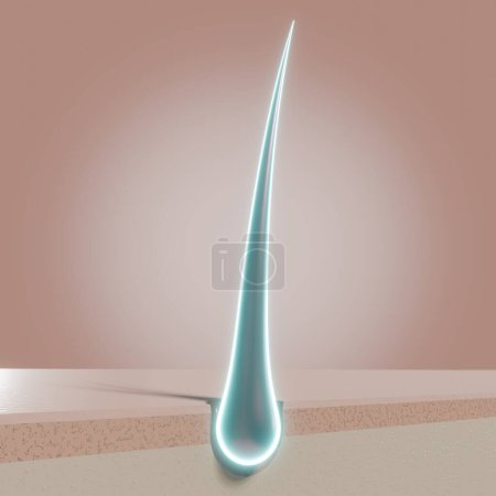 Foto de Folículo de cabello único brillante - concepto de regeneración - Ilustración 3D - Imagen libre de derechos