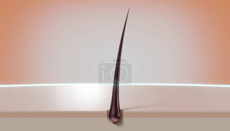 Foto de Folículo de cabello único y brillo - concepto de regeneración - Ilustración 3D - Imagen libre de derechos